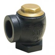 Phoneix Angle Check Valves